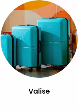 valise